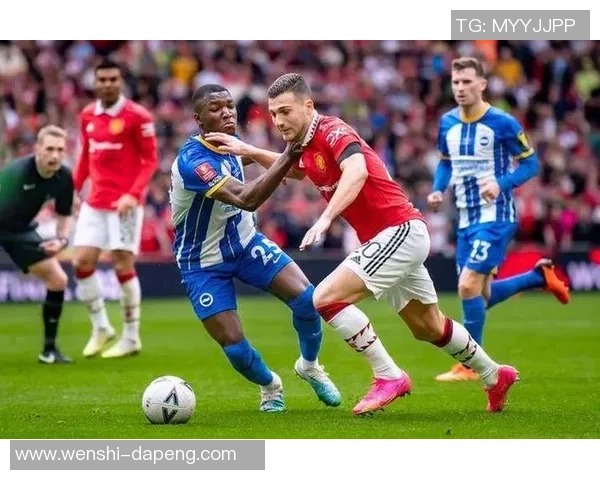 温布尔登与东方的精彩对决揭示足球战术与团队合作的完美结合